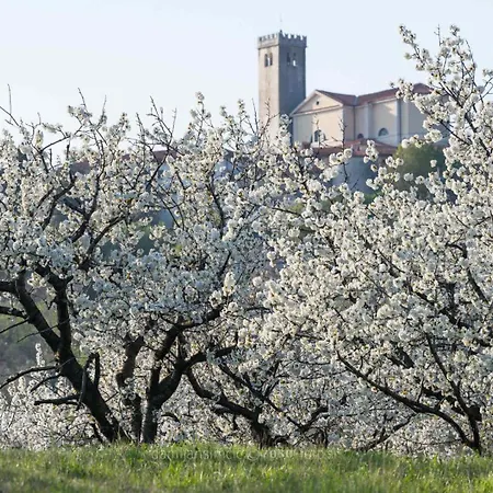 Secluded Vineyard With Panoramic Views Villa *