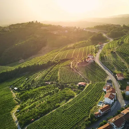 Secluded Vineyard With Panoramic Views